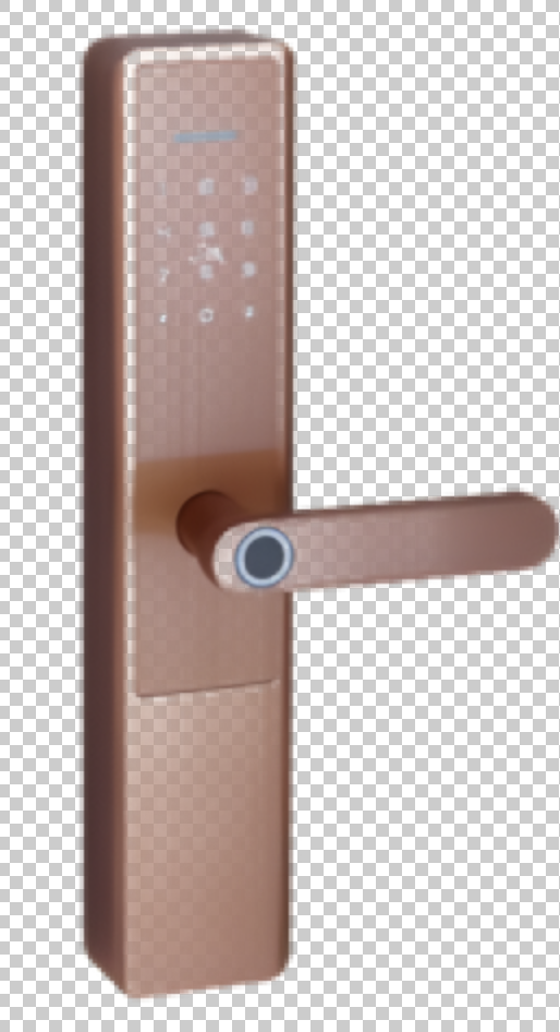 Fingerprint lock
