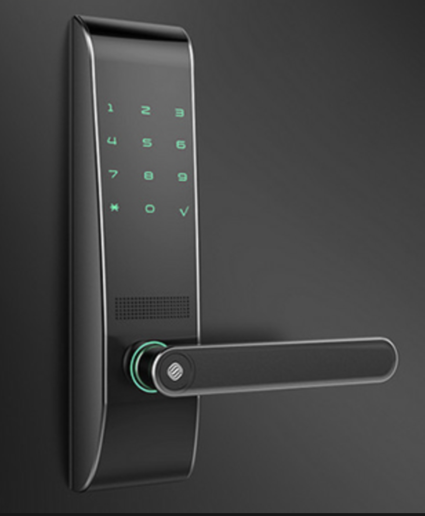 Fingerprint lock