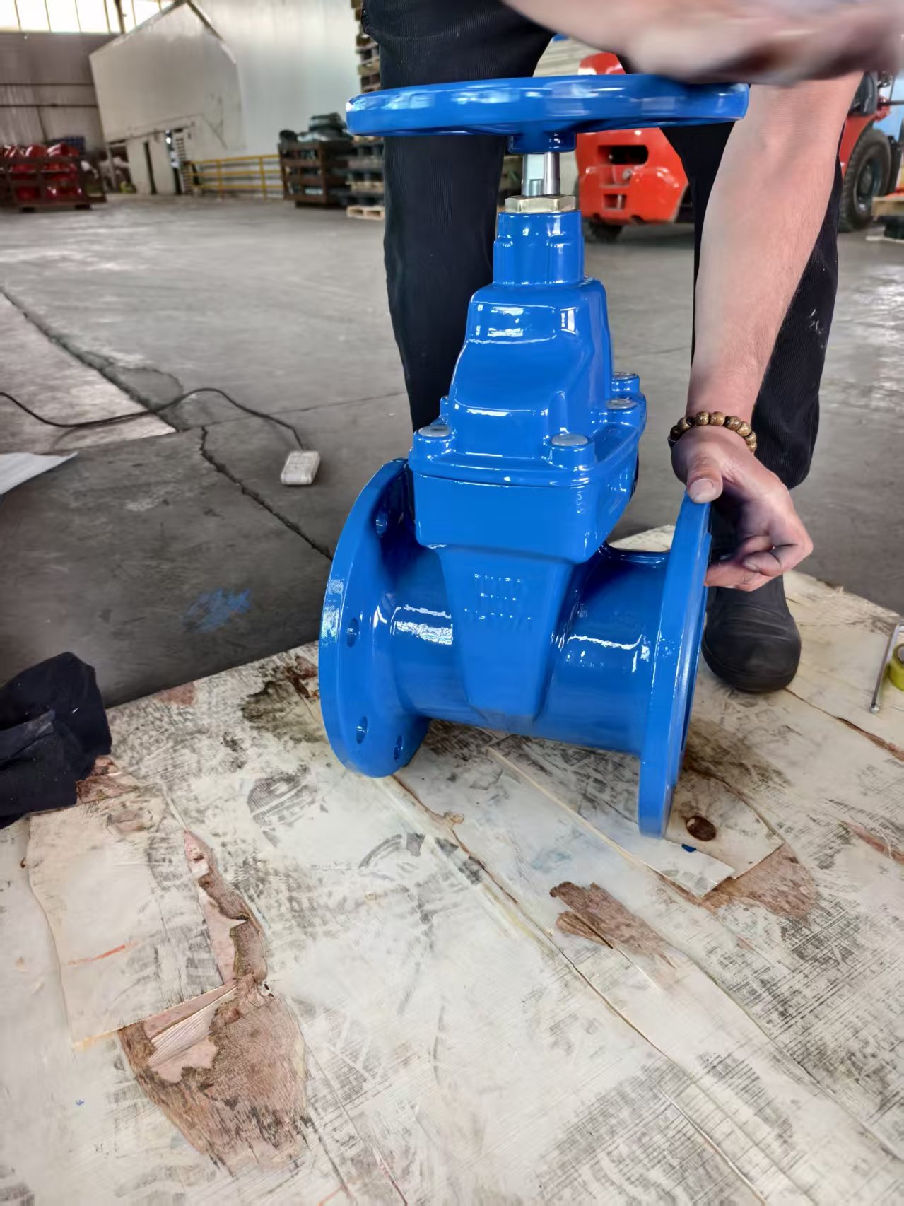 Resilient Seated Gate Valve DN100