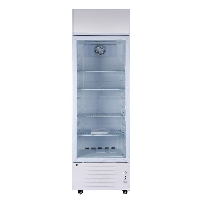 268L DC12V/24V Solar Refrigerator Freezer Energy Saving Cooling Display Fridge OEM/ODM/SKD/CKD PAYGO