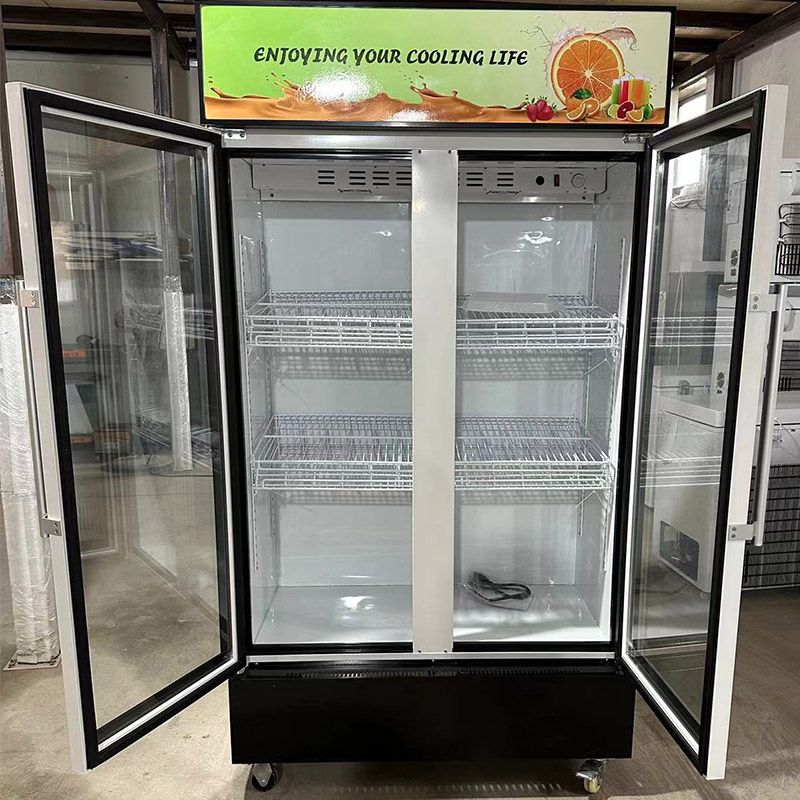 685L DC12V/24V Solar Refrigerator Freezer Energy Saving Cooling Display Fridge OEM/ODM/SKD/CKD PAYGO