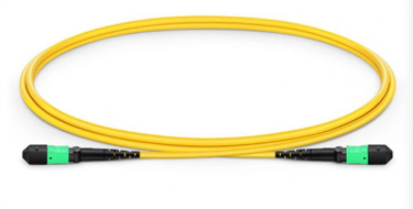patchcord MPO