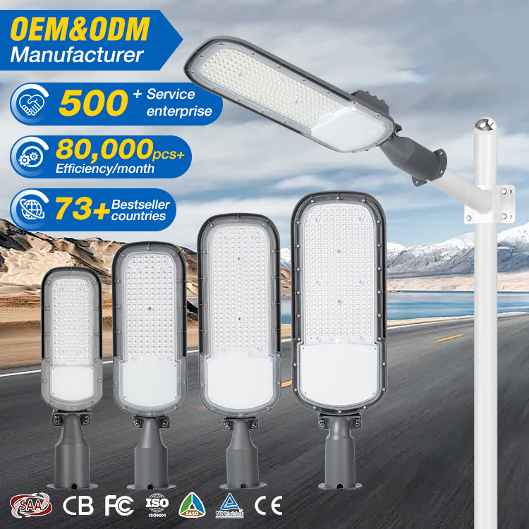 Zenlea Outdoor LED Street Light with Energy Saving and High Brightness ZL-GR10A