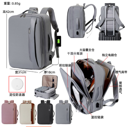 business Backpack