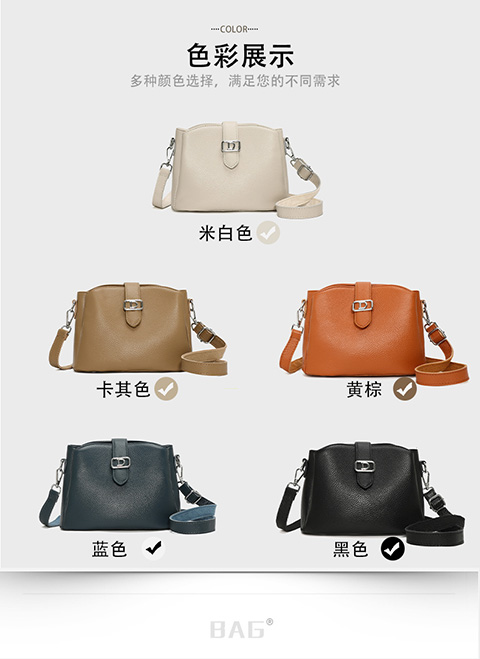 lady bag