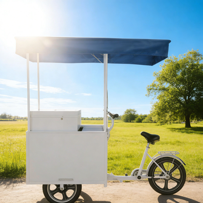 108L Refrigerated Market Tricycle for Frozen Food & Ice Cream | Electric Convertible OEM ODM SKD CKD