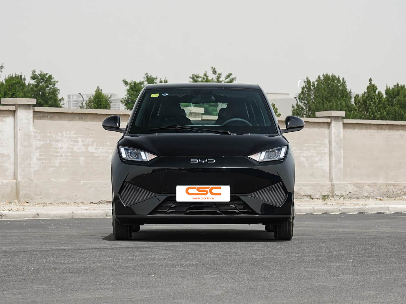 Byd Seagull 2025