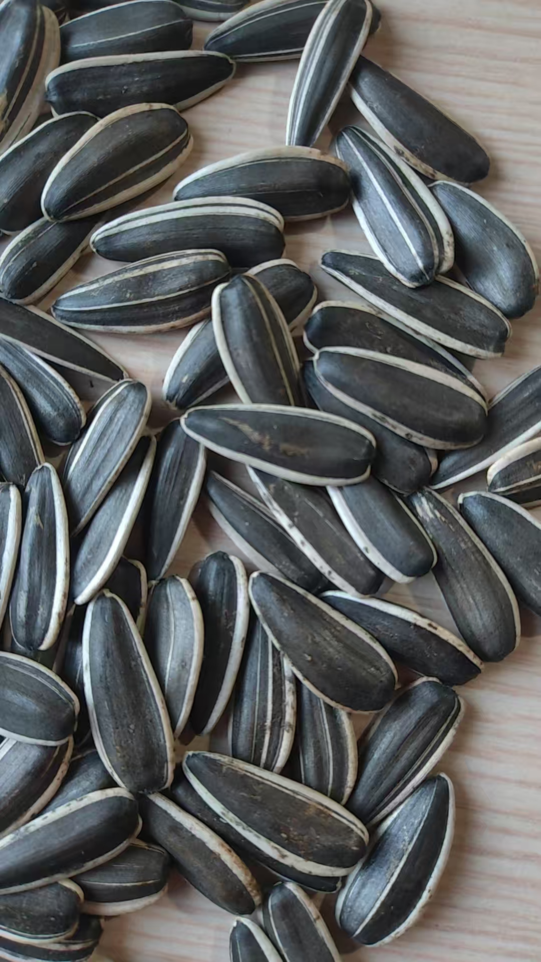 Sunflower Seeds