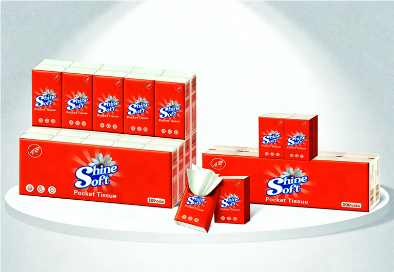Pocket tissue