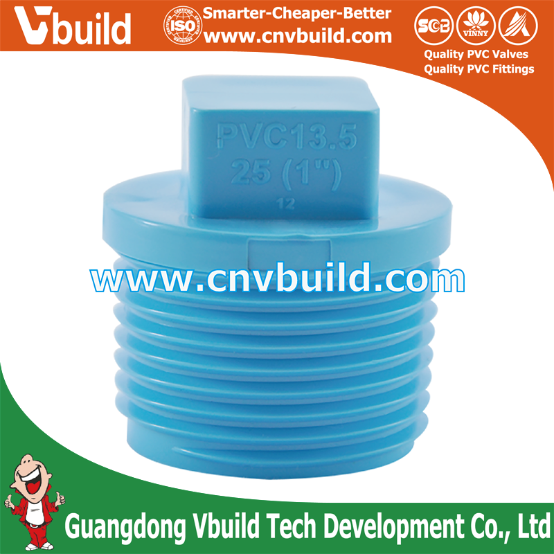 PVC Pipe Tube Fitting VALVE PLUG-WS B