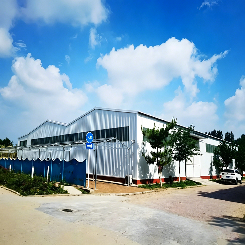 Portal Steel Structure Prefabricated Metal Steel Structure building for Industrial