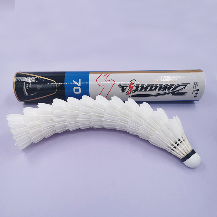 Shuttlecock