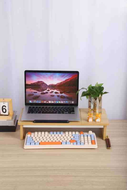 Monitor Stand