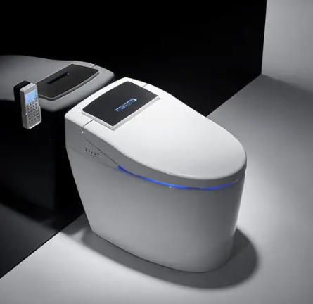 Intelligent Toilet​