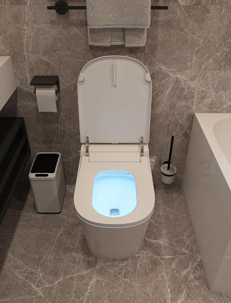 Automatic Smart Toilet