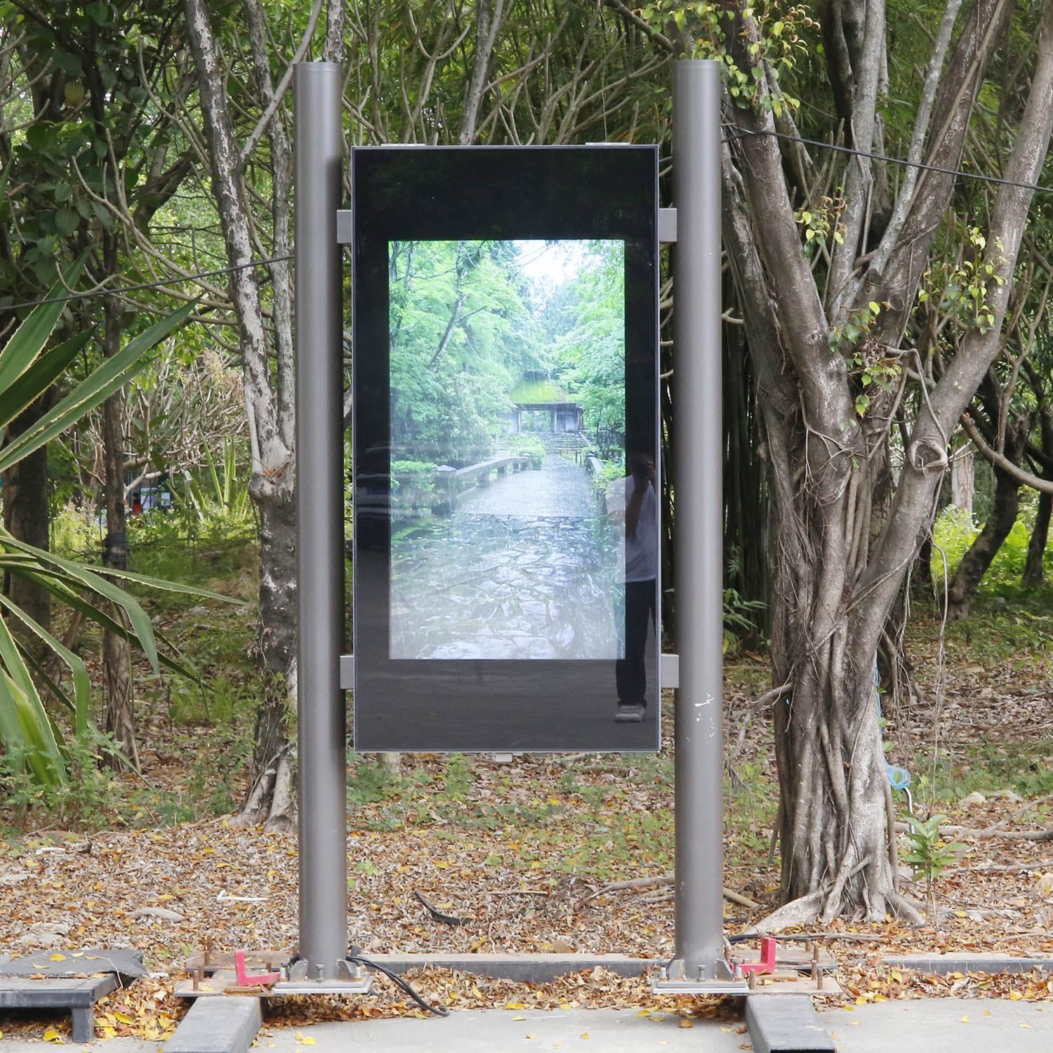 Advertising light box with LCD screen
