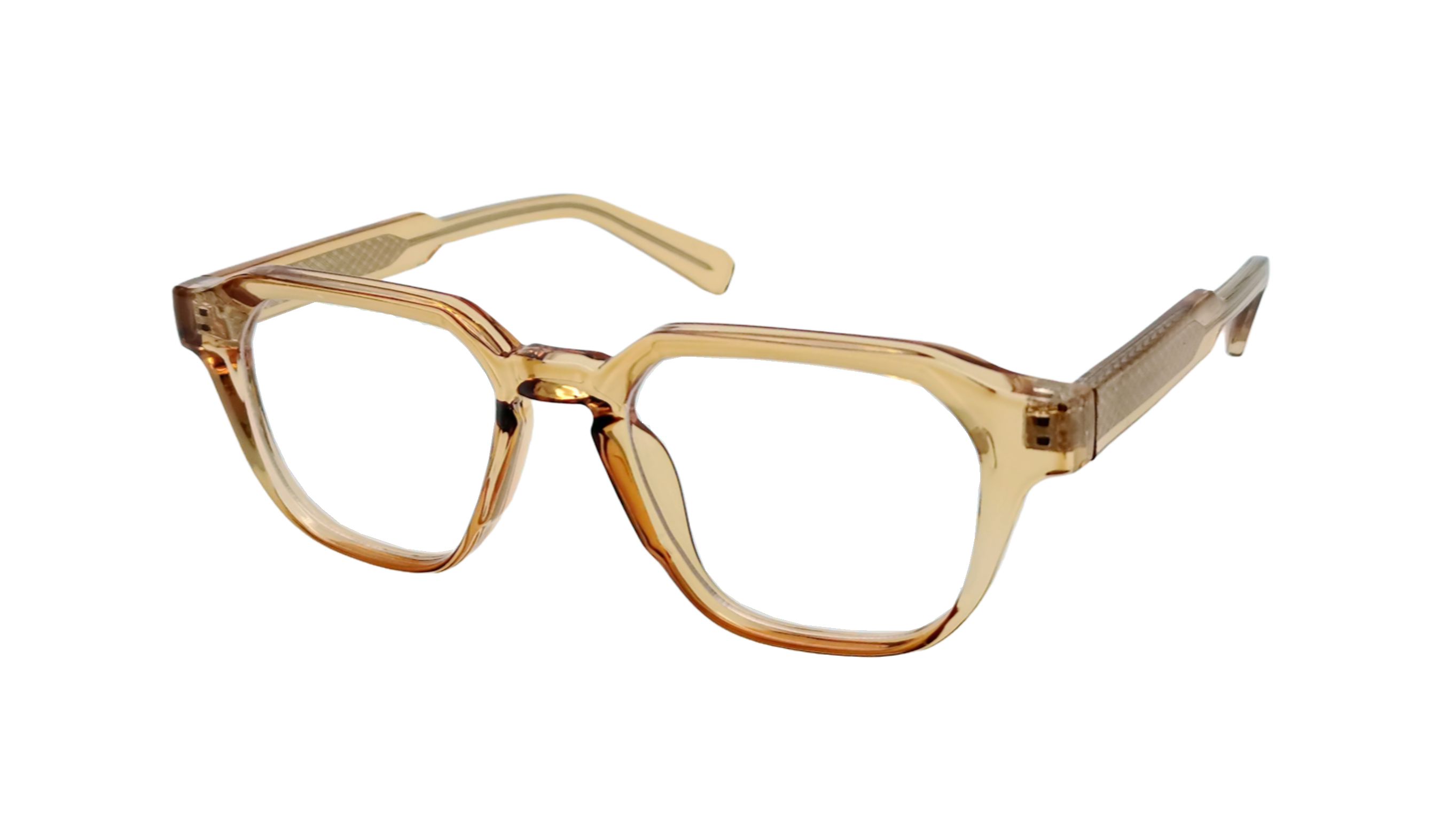 optical frame253004
