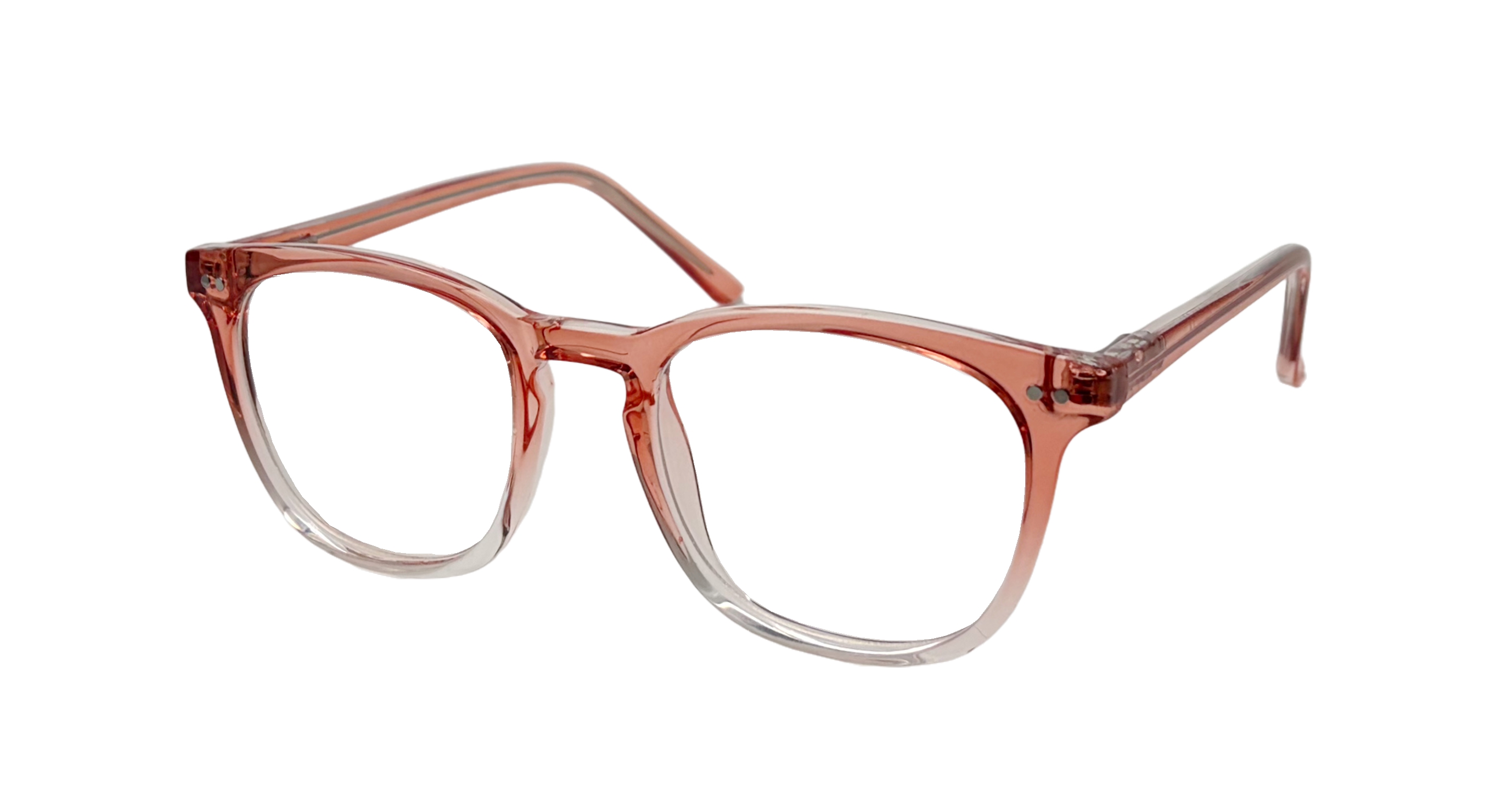 optical frame254003