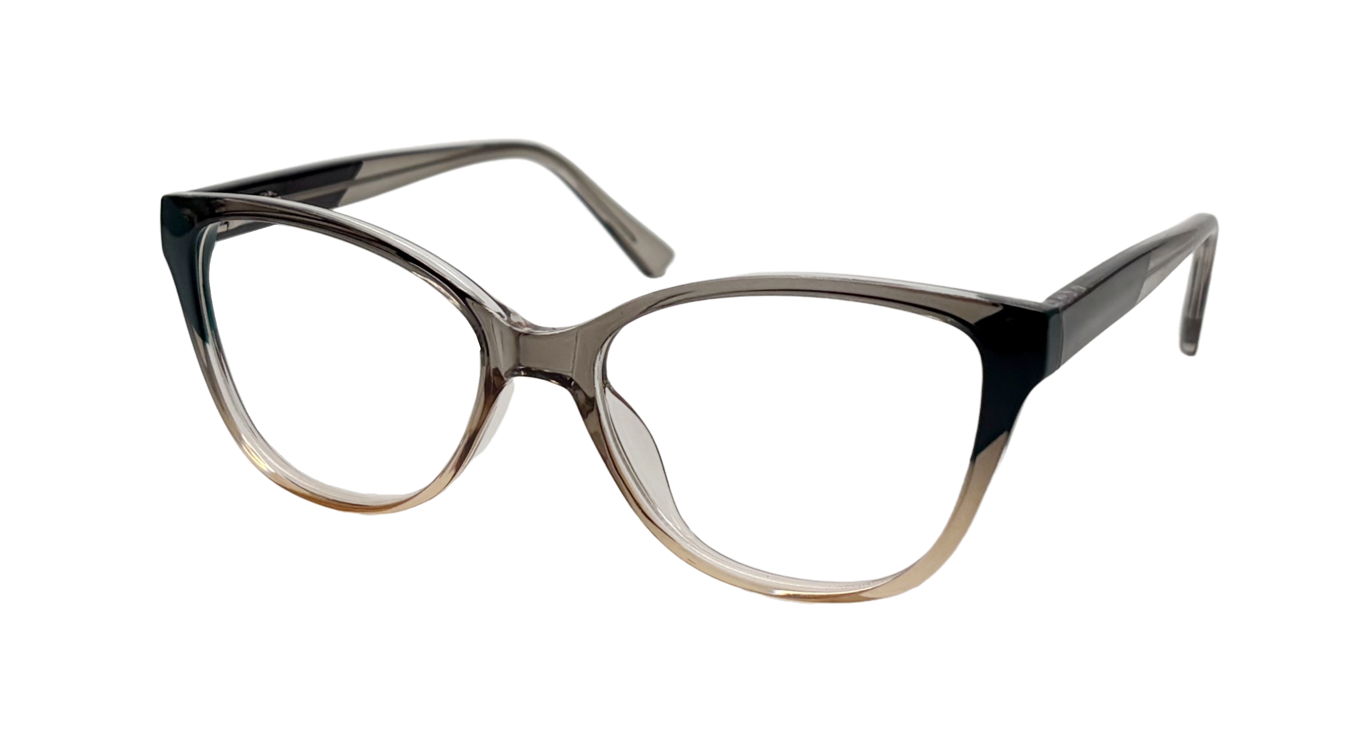 optical frame254005