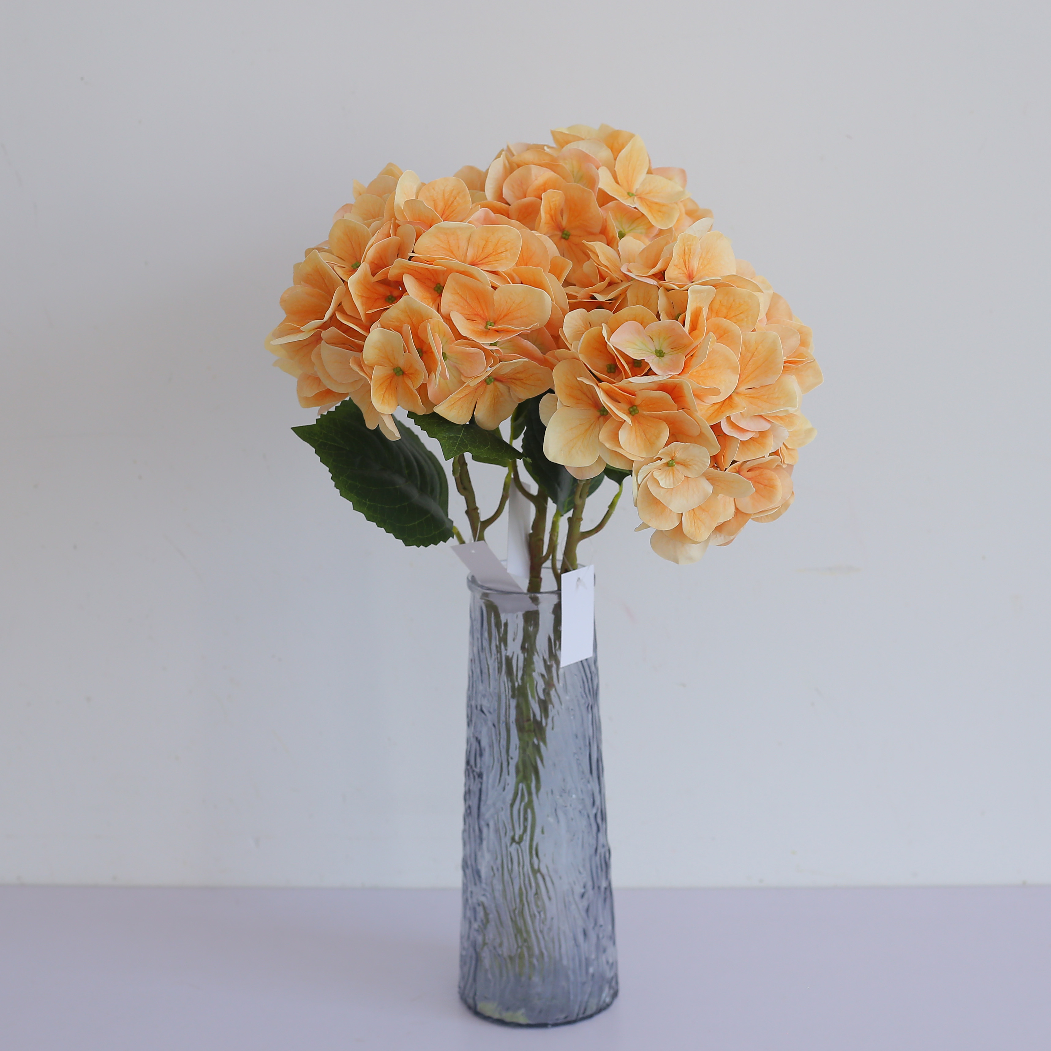 Film hydrangea branch