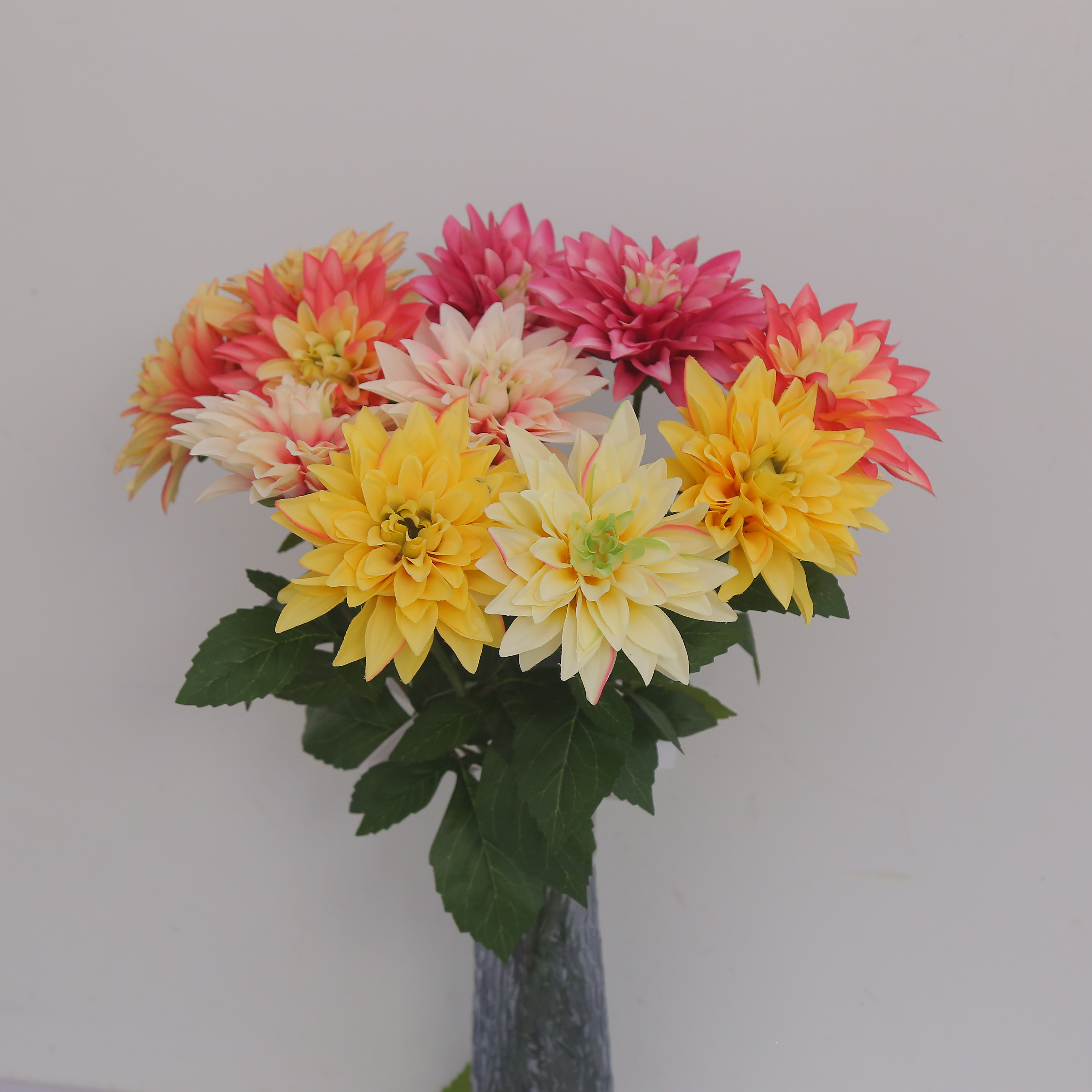 Single Head Dahlia Single Branch