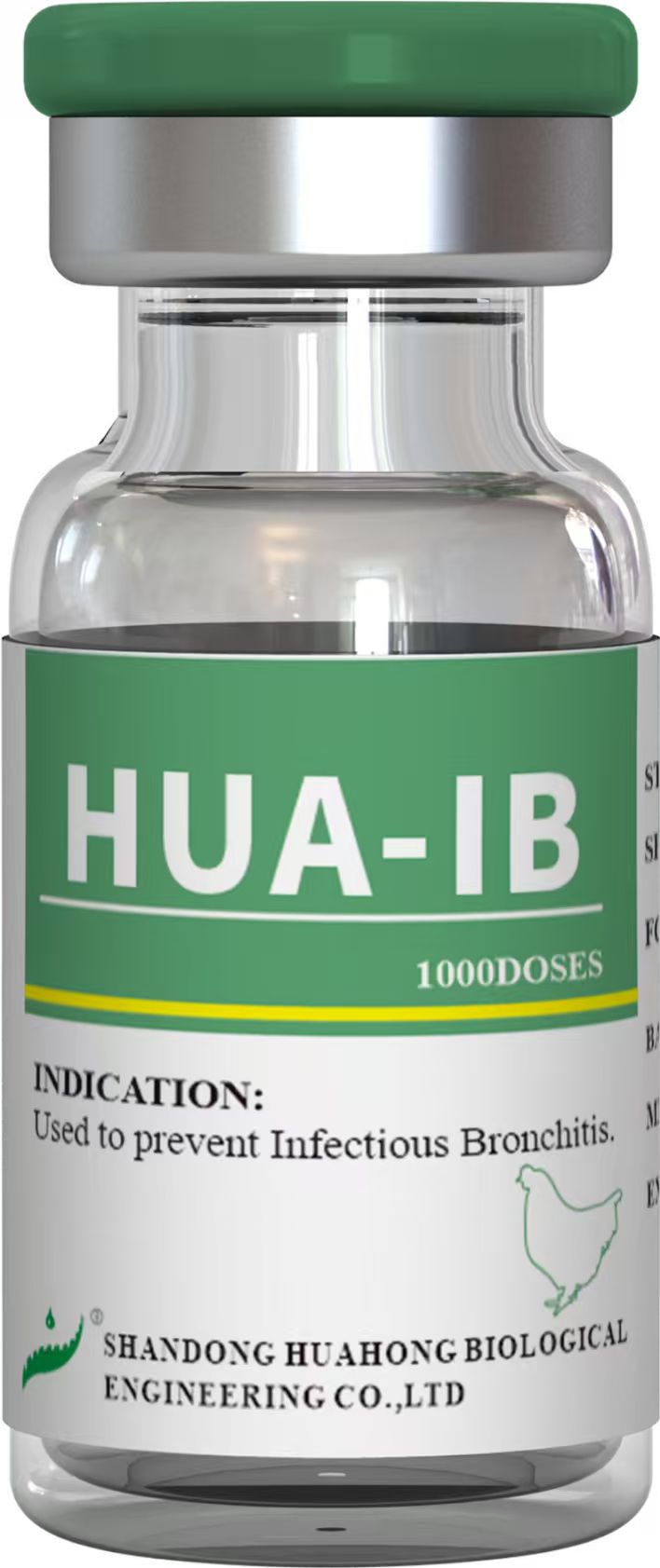 Infectious Bronchitis Live Vaccine (Strain H52)
