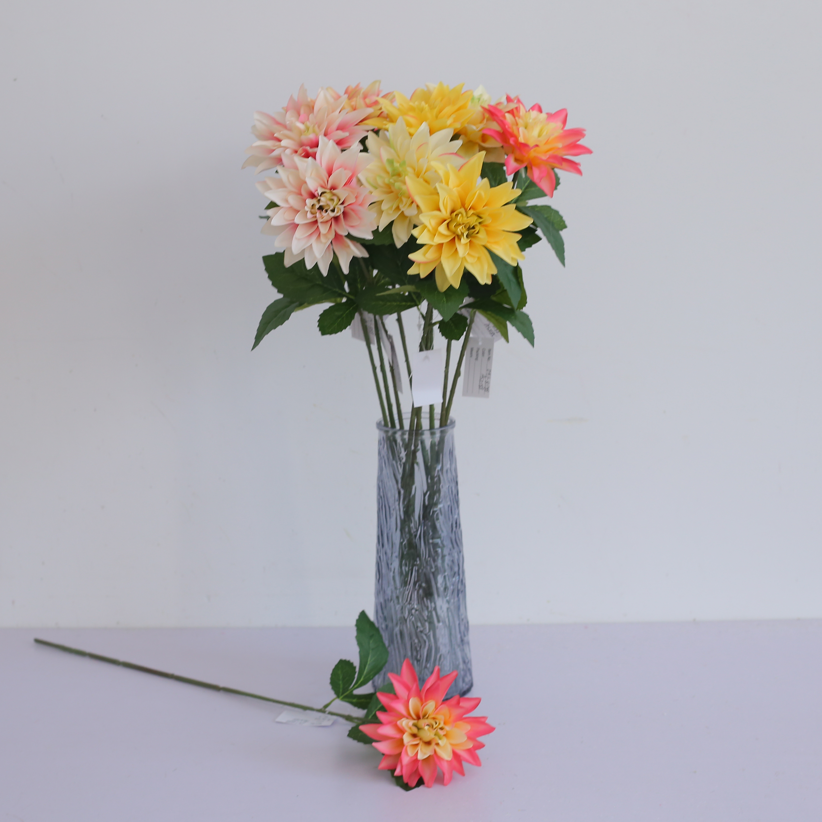 Single-stemmed Dahlia