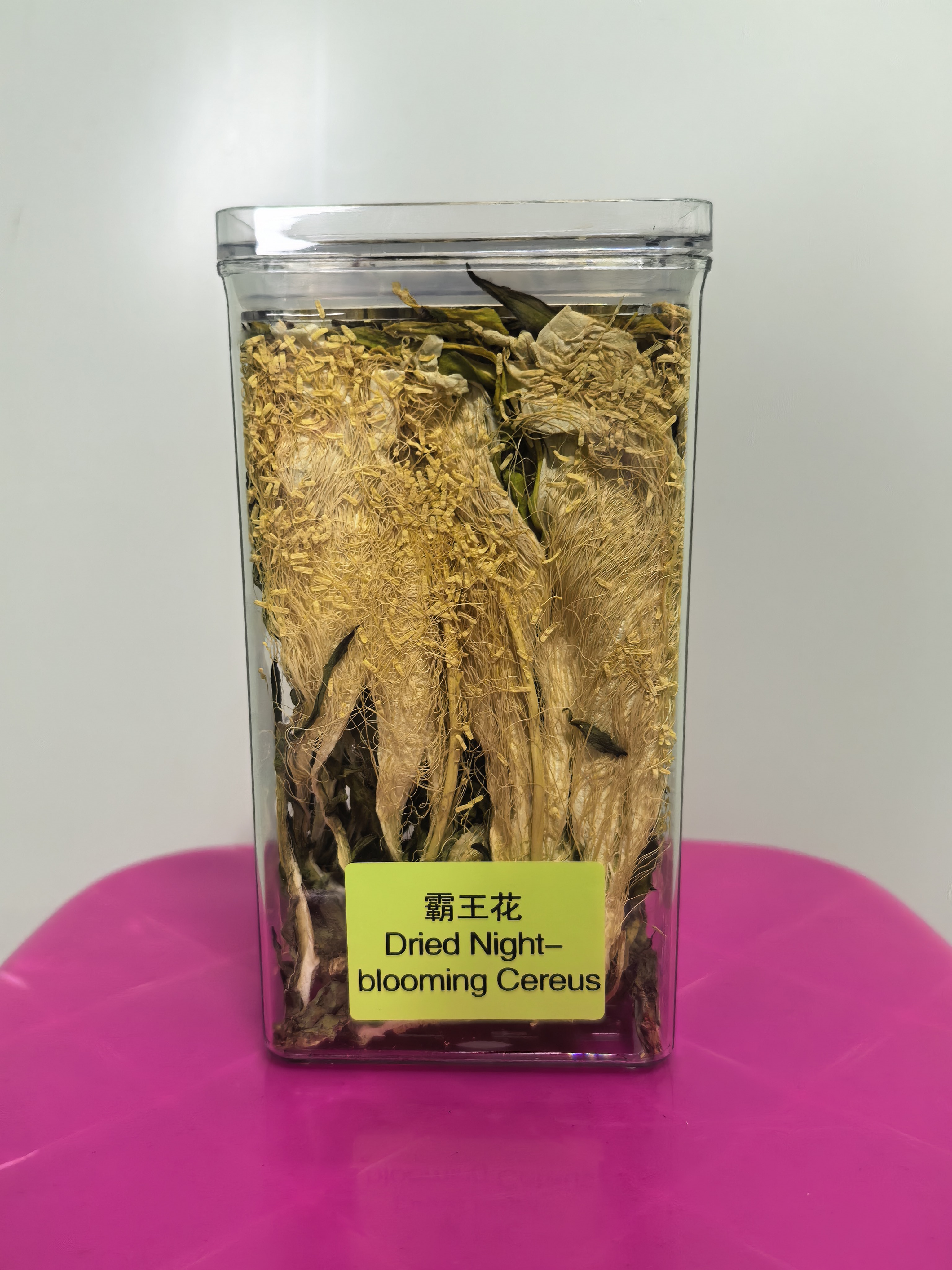 Dried Night-blooming Cereus