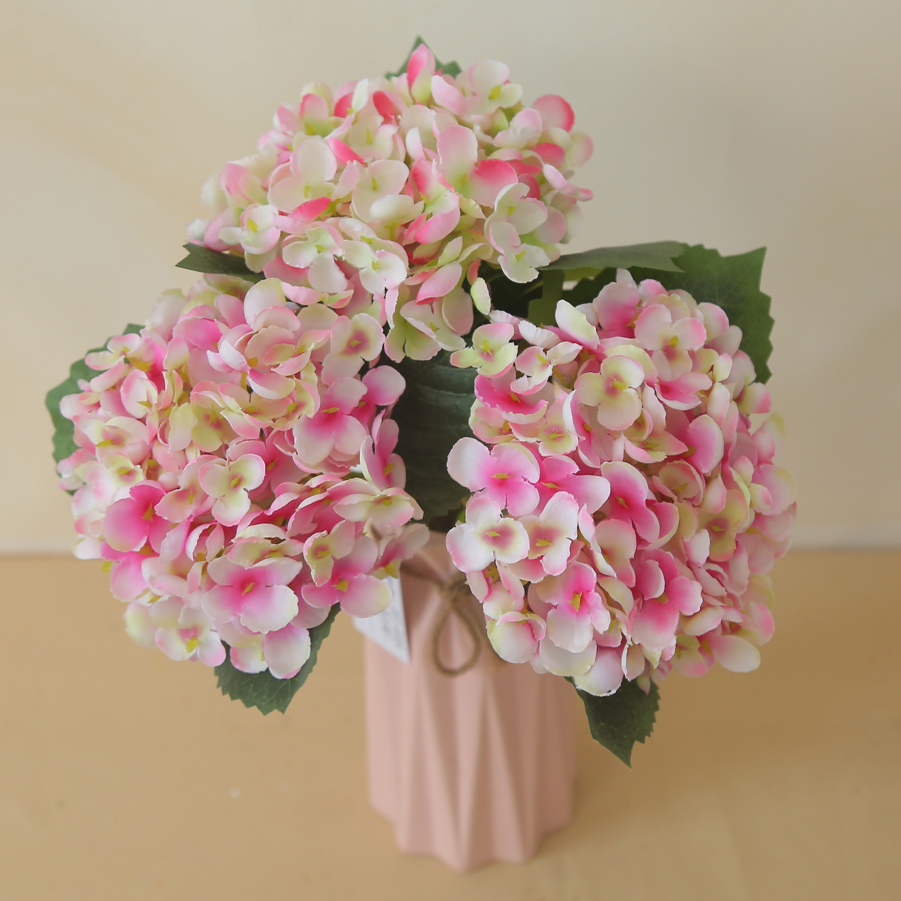 Hydrangea Twig
