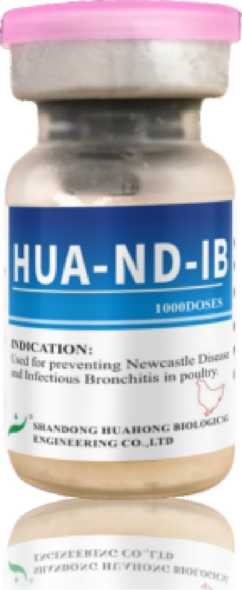 Newcastle Disease And Infectious Bronchitis Vaccine, Live (Strain La Sota + Strain H52)