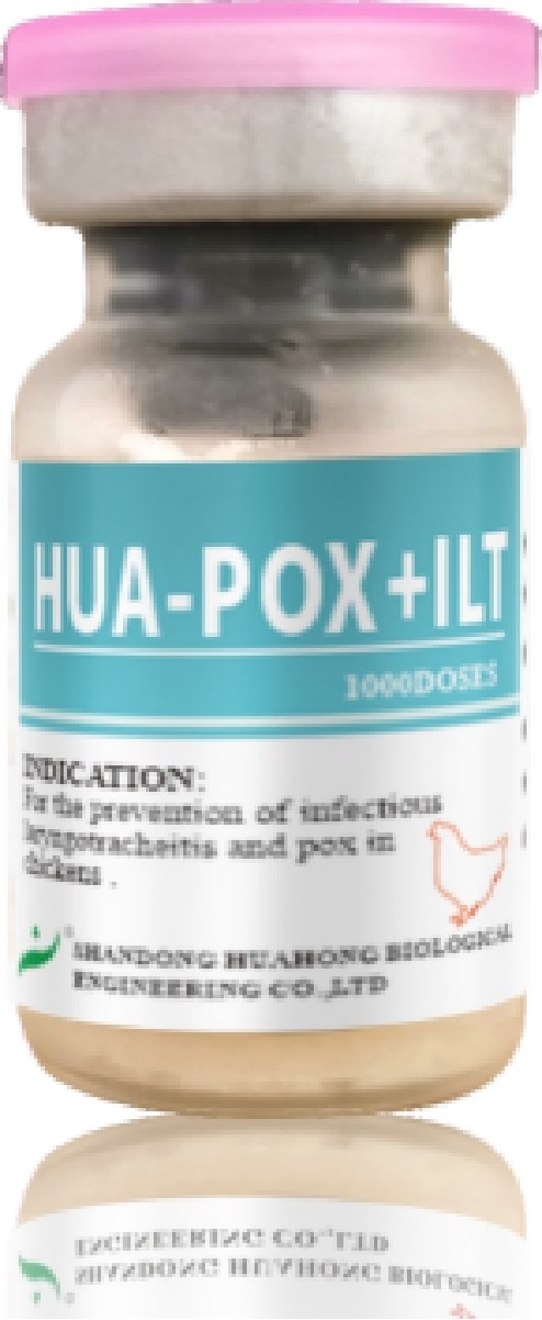 Fowl Pox + Laryngotracheitis Vaccine, Live