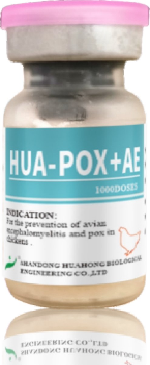Fowl Pox + Avian Encephalomyelitis Vaccine, Live