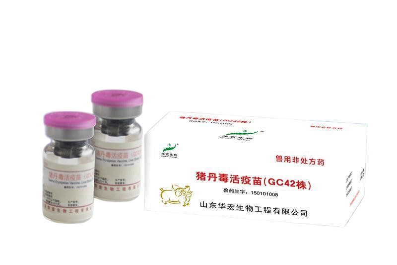 Swine Erysipelas Vaccine, Live (Strain GC42)