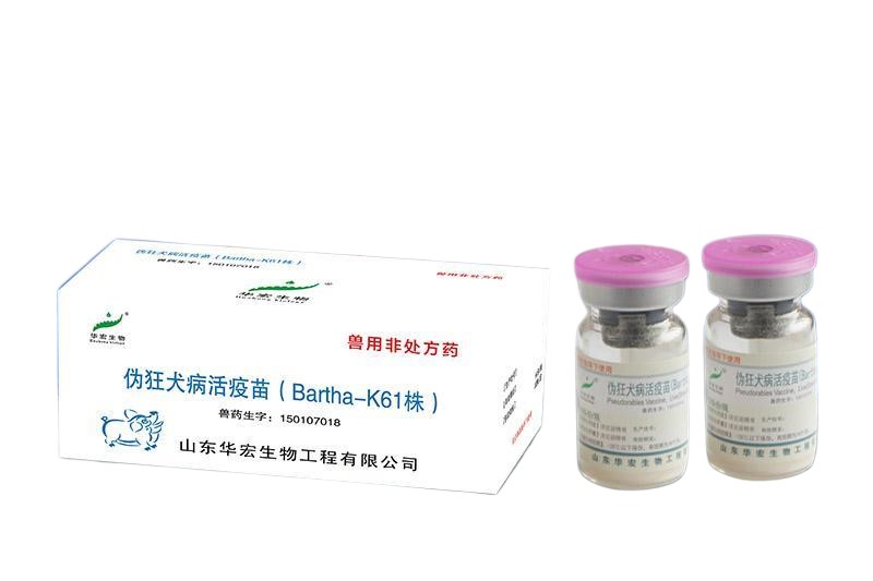 Pseudorabies Vaccine, Live (Strain Bartha-K61)
