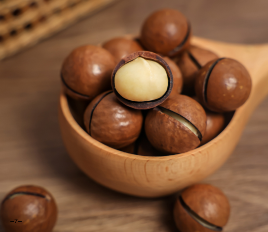 Macadamia nut