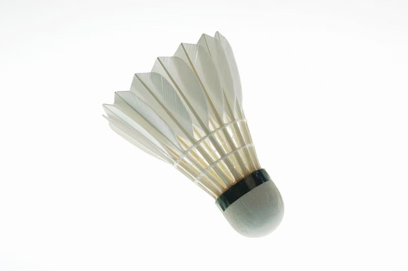Badminton