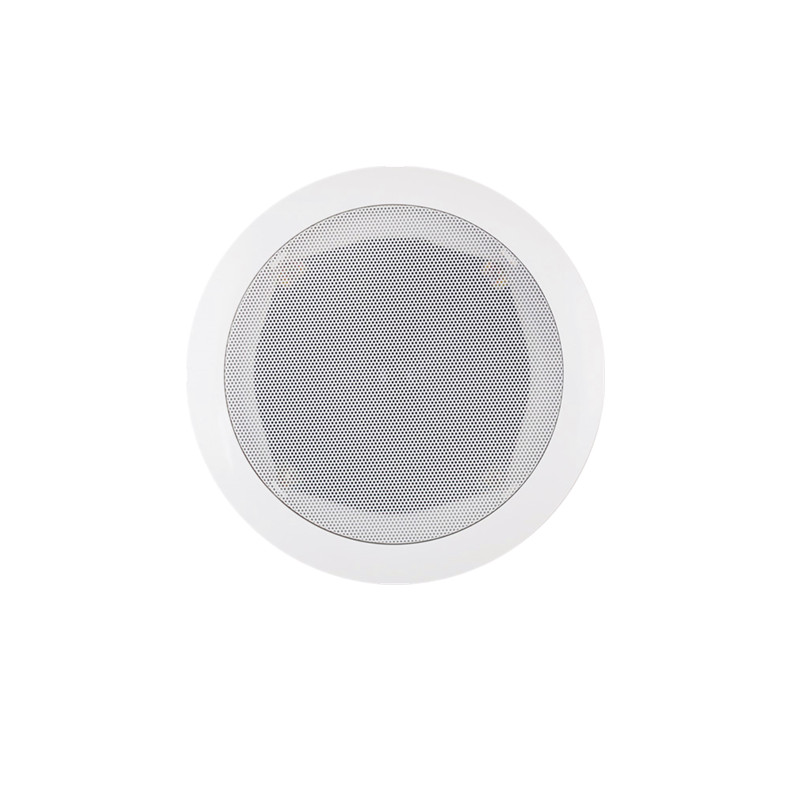 ceiling speaker