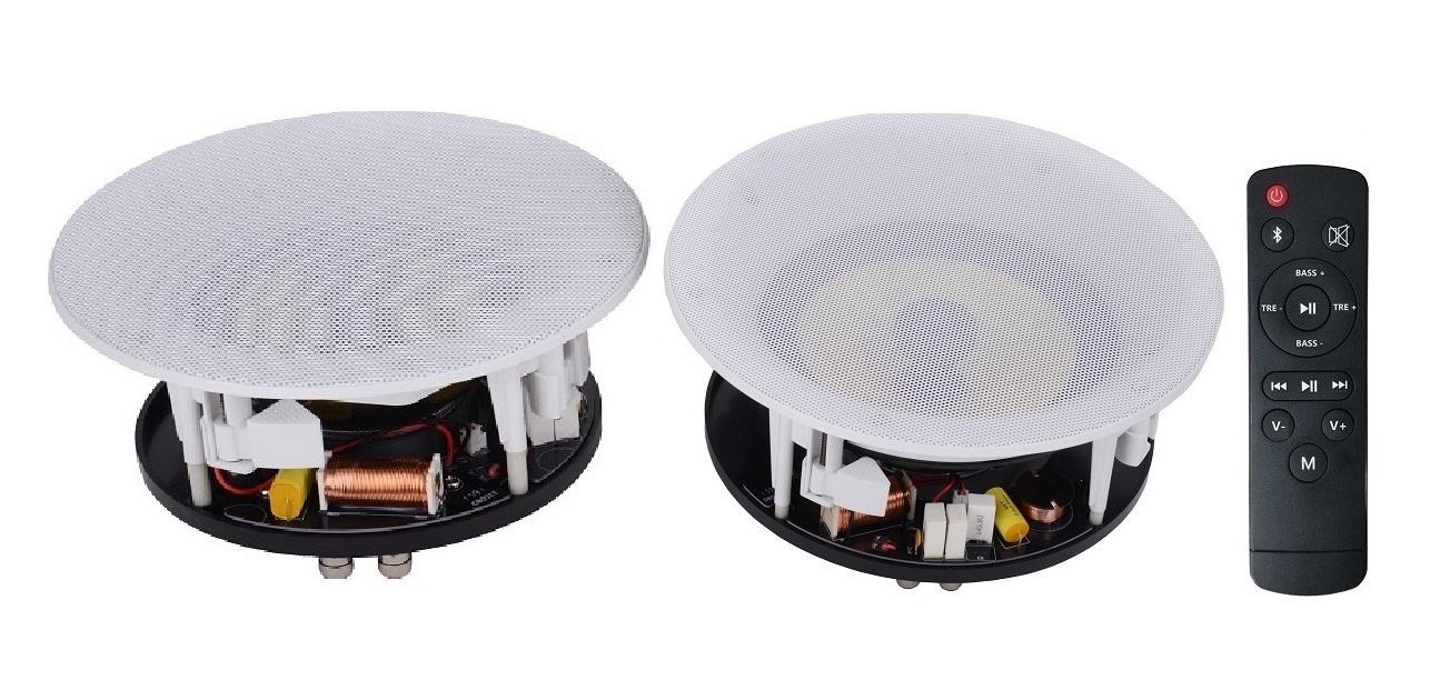 ceiling speaker