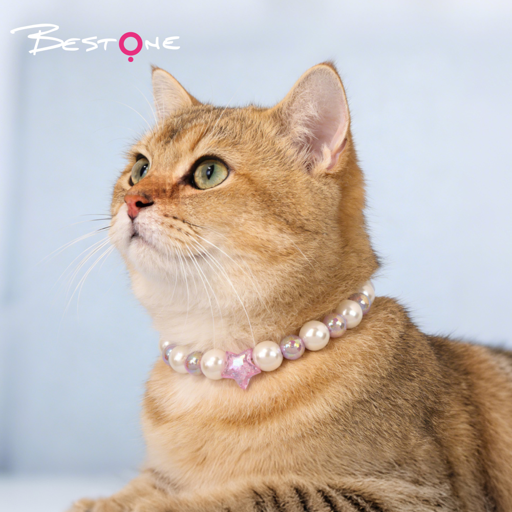glow pet necklace star pet necklace beaded pet jewelry cute pet accessories fashionable