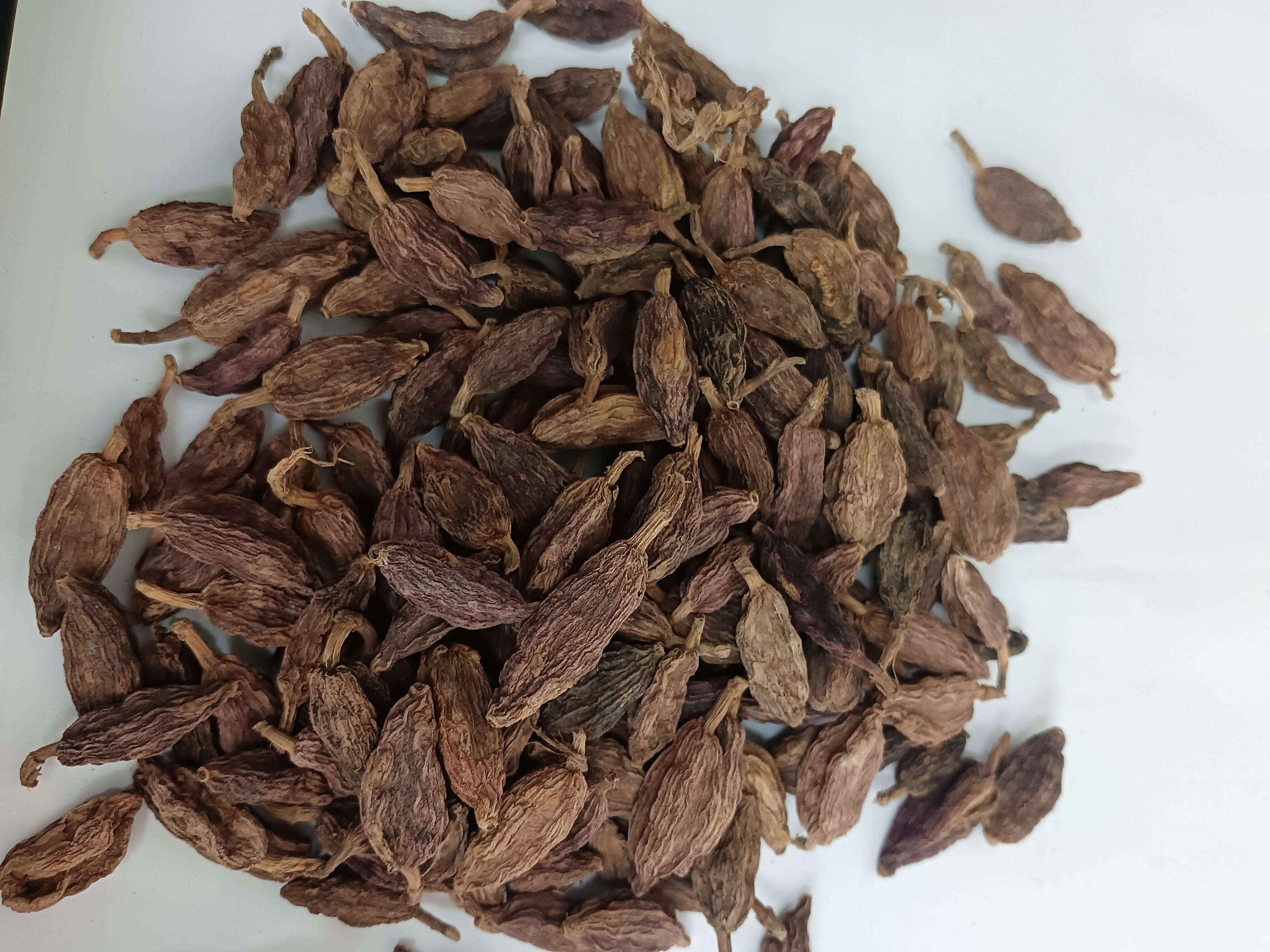 Black cardamom