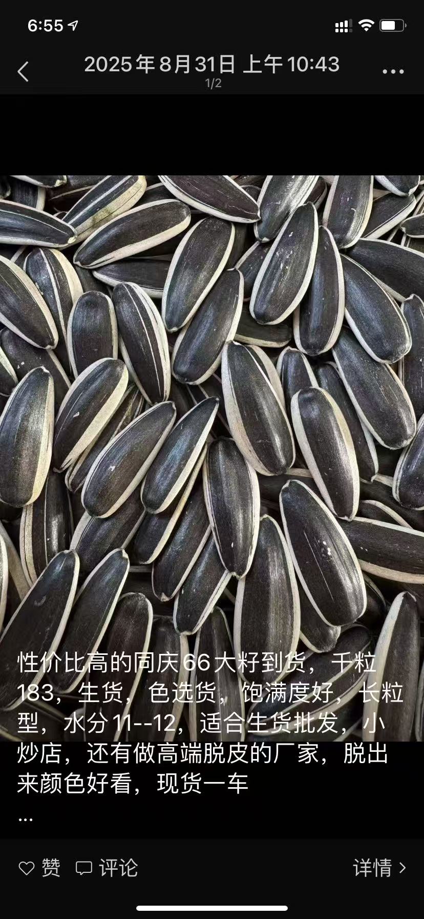 sunflower seeds T66