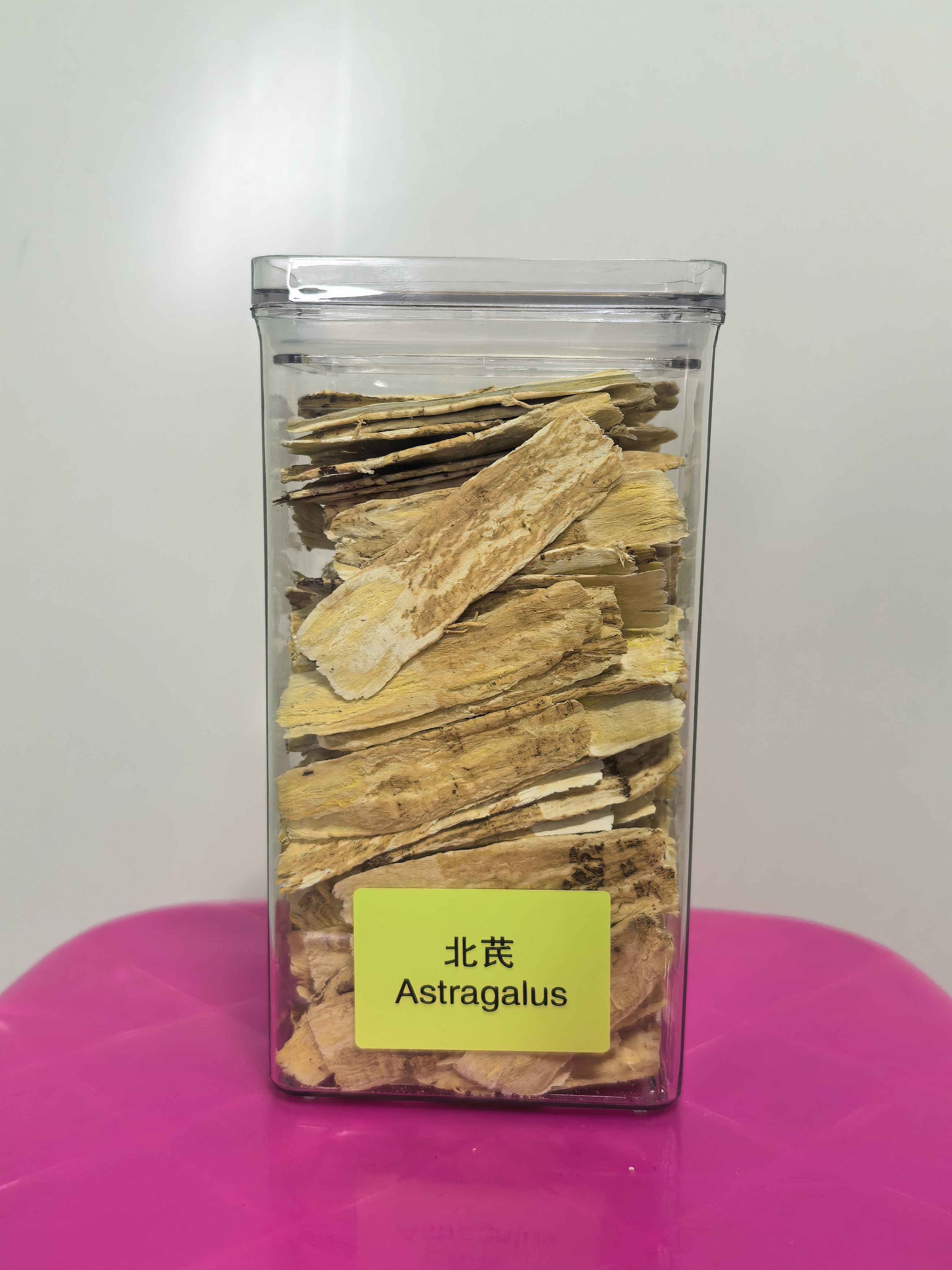 Astragalus