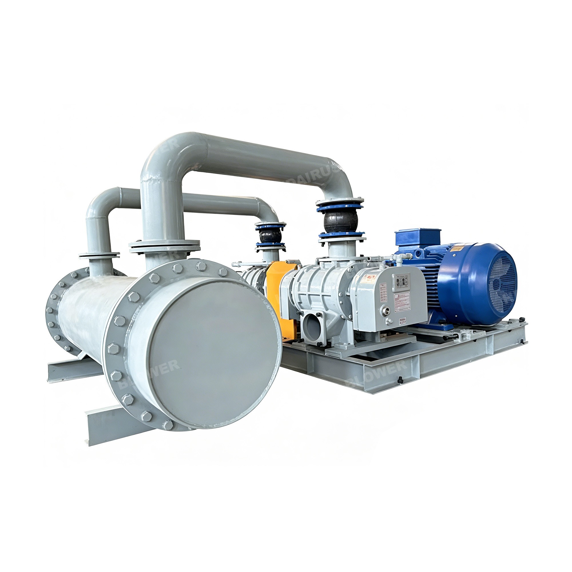 Bipolar series Roots blower