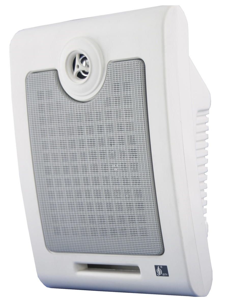 wall-mounted speaker