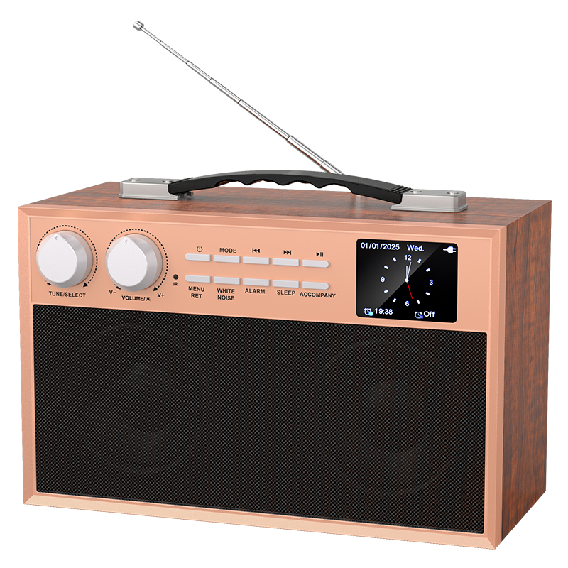 Bluetooth FM Radio Speaker