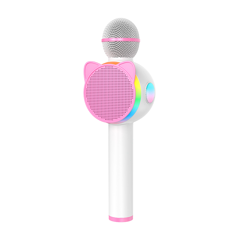 Karaoke speaker