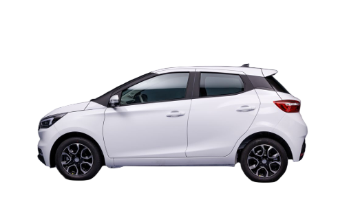 COM 100% Electric Passenger Car EU WVTA M1