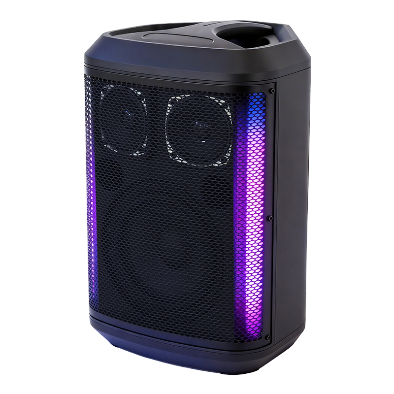 Hifi Party Speaker