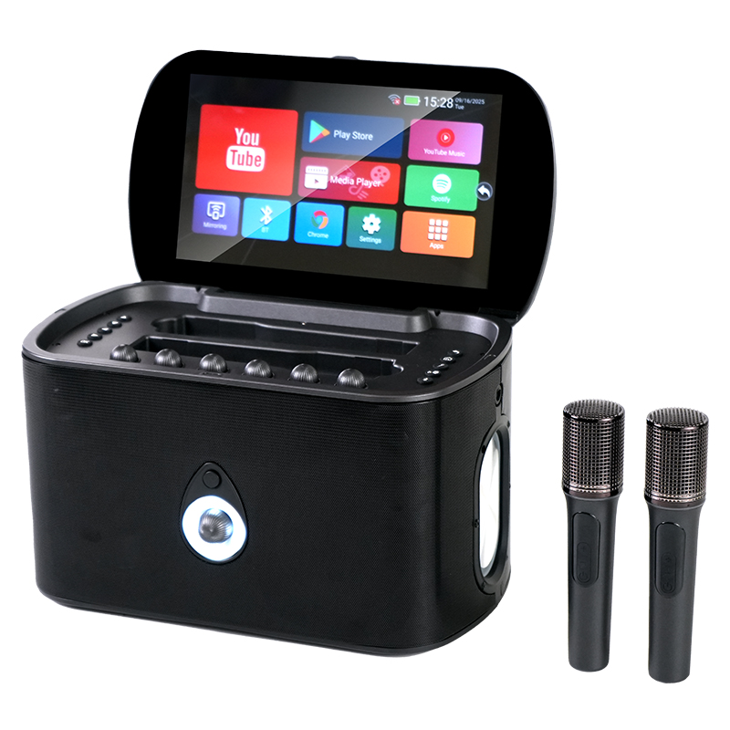 Karaoke display Speaker with wireless Microphones