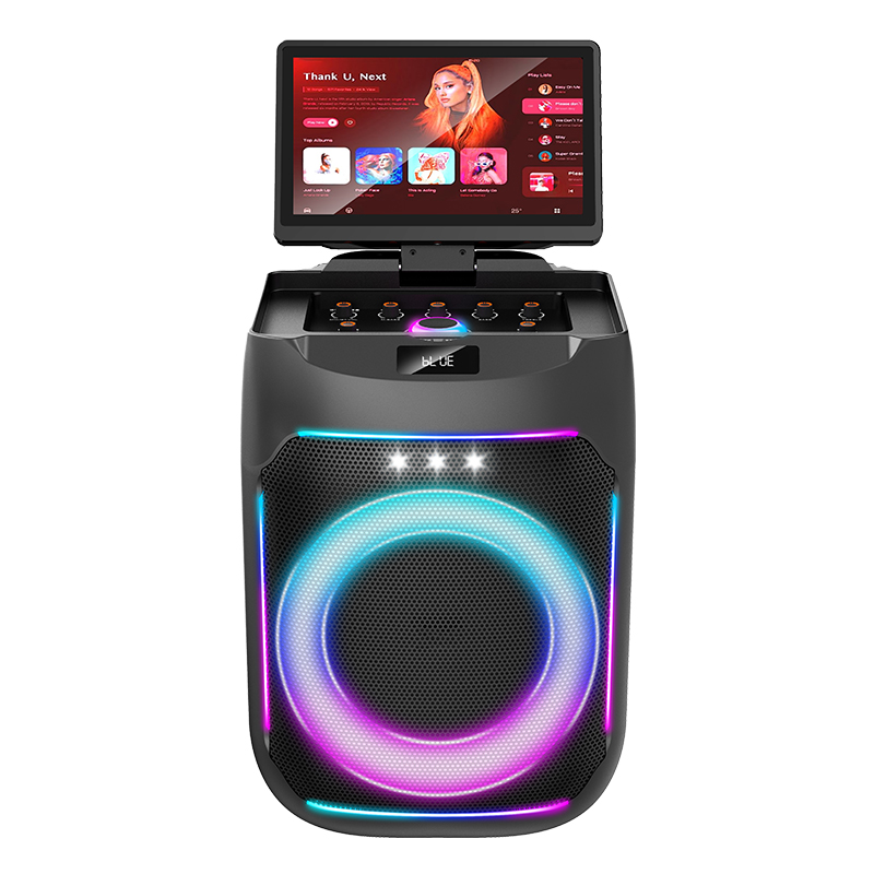 Hifi Party Speaker